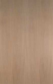 BASSWOOD