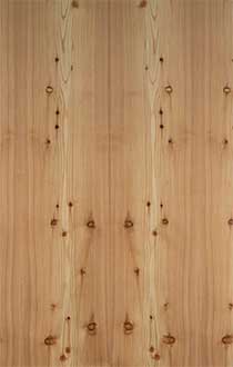 KNOTTY LARCH