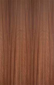 SATINWOOD