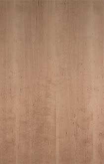 YELLOW BIRCH