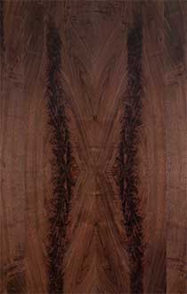 AME WALNUT CROTCH