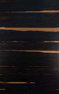 BOCOTE
