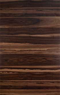 TIGER SKIN